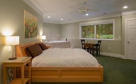 Pigeon Creek Inn Holland Mi 3*